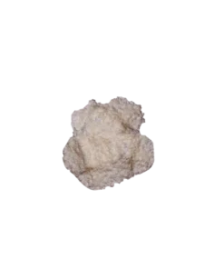 Raw DMT Powder (1g)